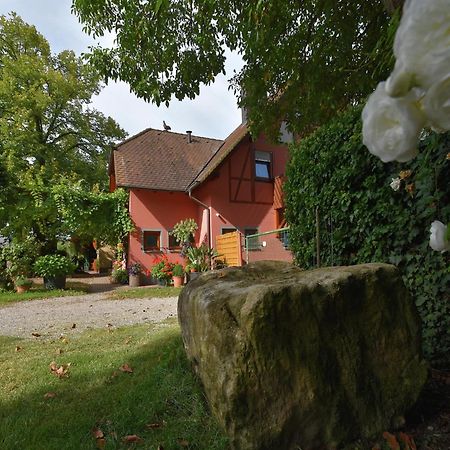 Countryside Apartment With Garden Schallstadt Eksteriør billede
