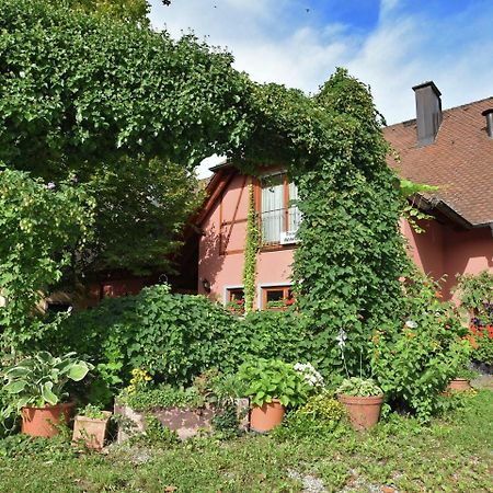 Countryside Apartment With Garden Schallstadt Eksteriør billede