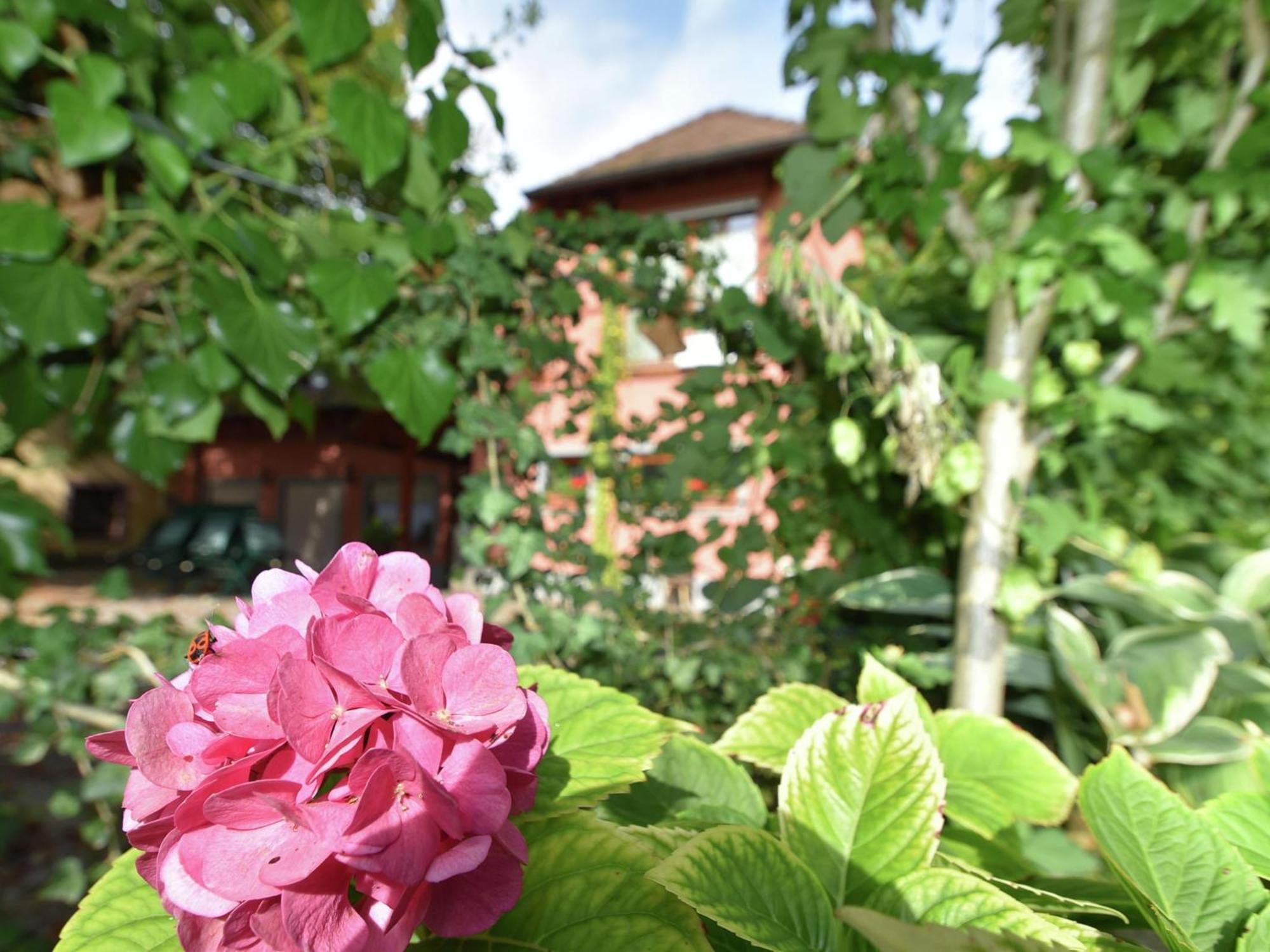 Countryside Apartment With Garden Schallstadt Eksteriør billede