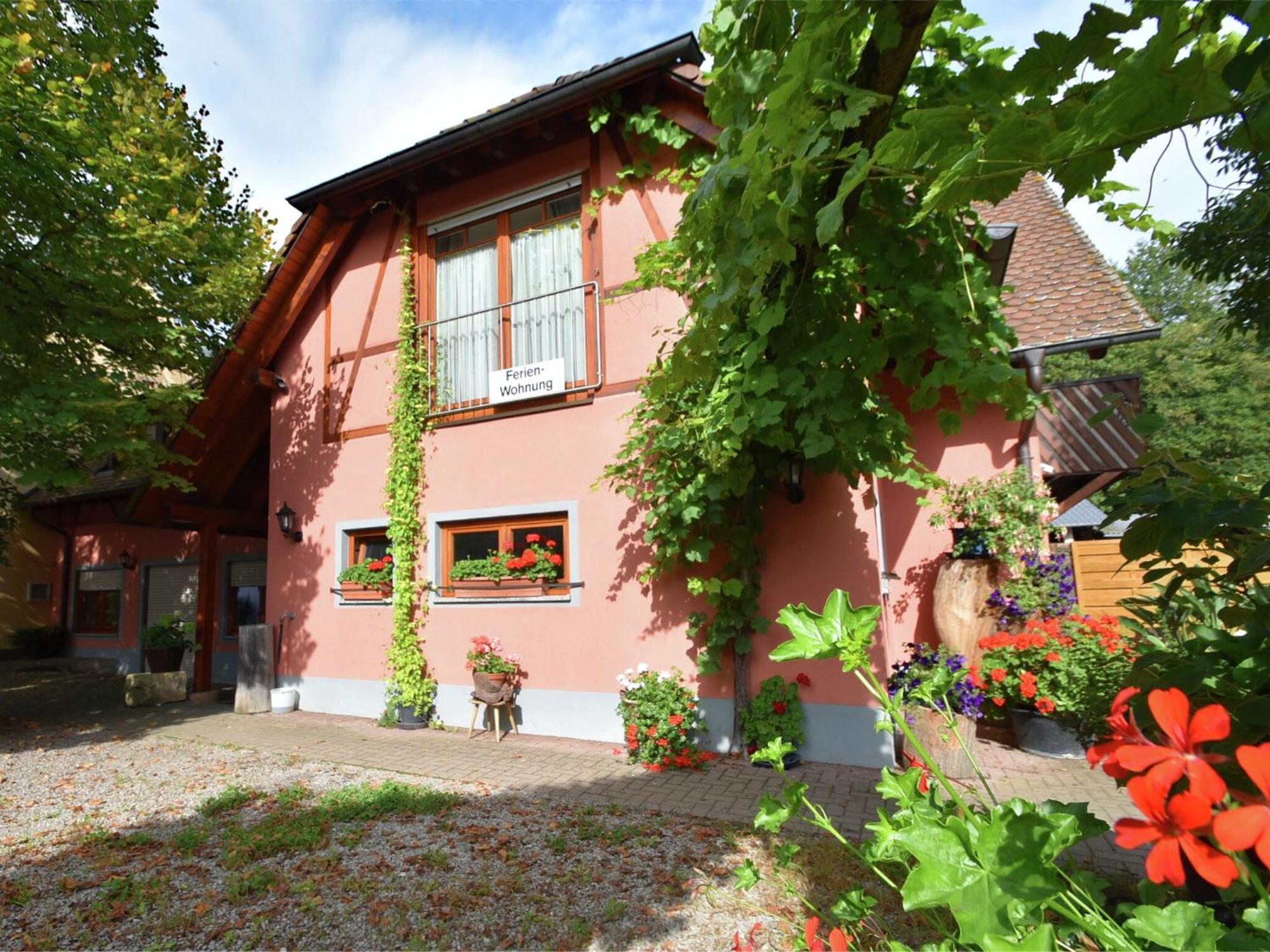 Countryside Apartment With Garden Schallstadt Eksteriør billede