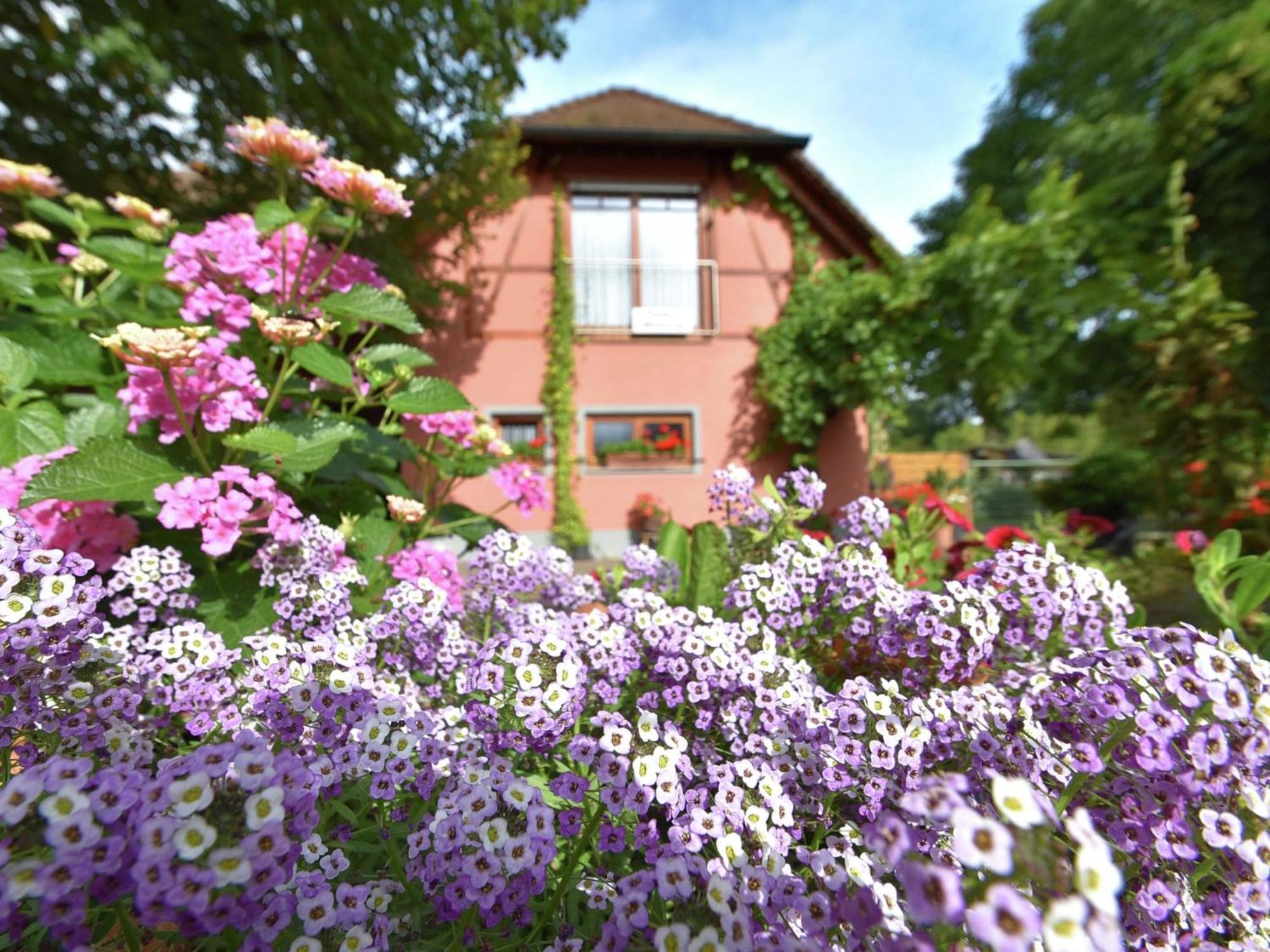 Countryside Apartment With Garden Schallstadt Eksteriør billede