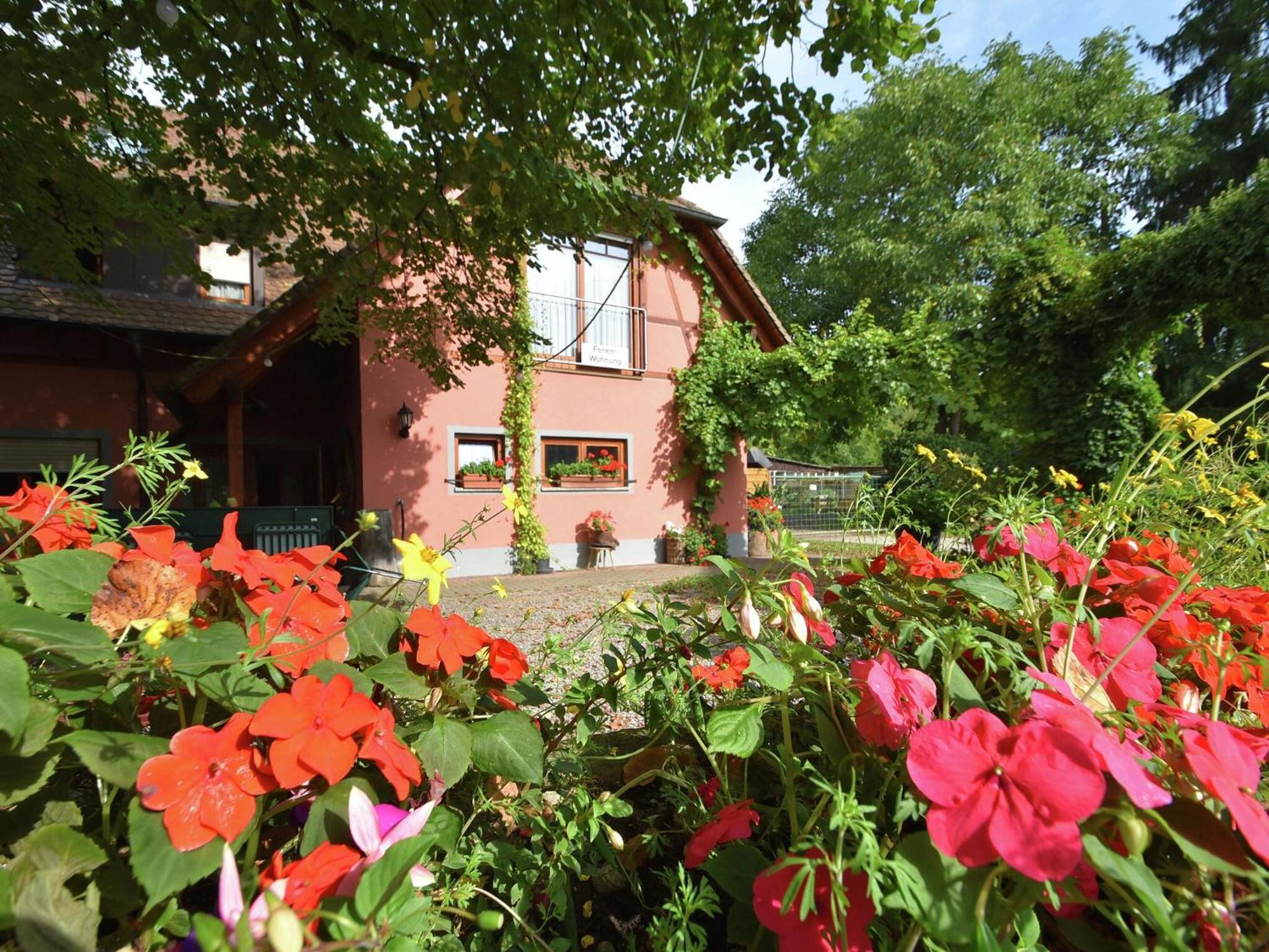 Countryside Apartment With Garden Schallstadt Eksteriør billede