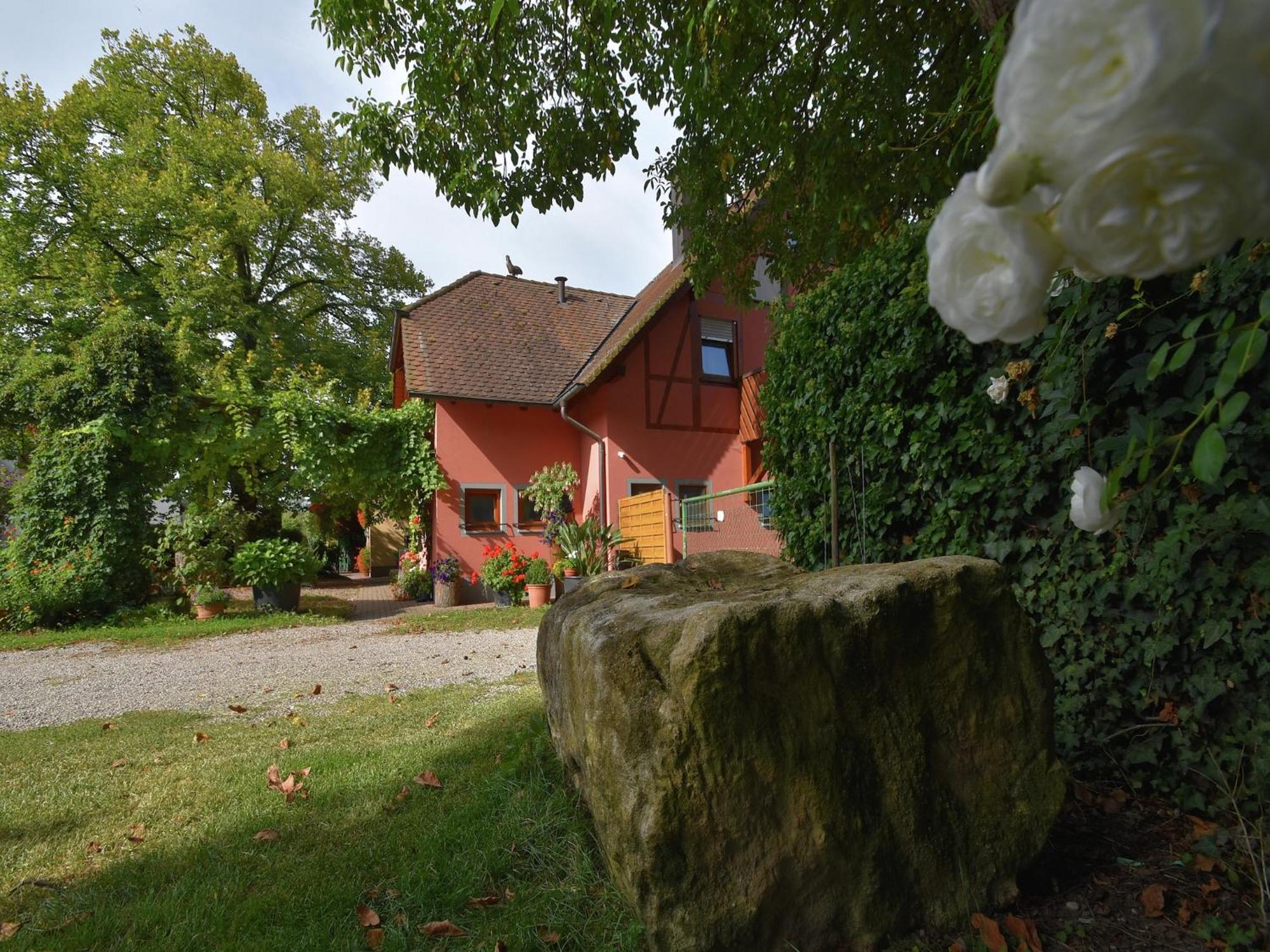Countryside Apartment With Garden Schallstadt Eksteriør billede
