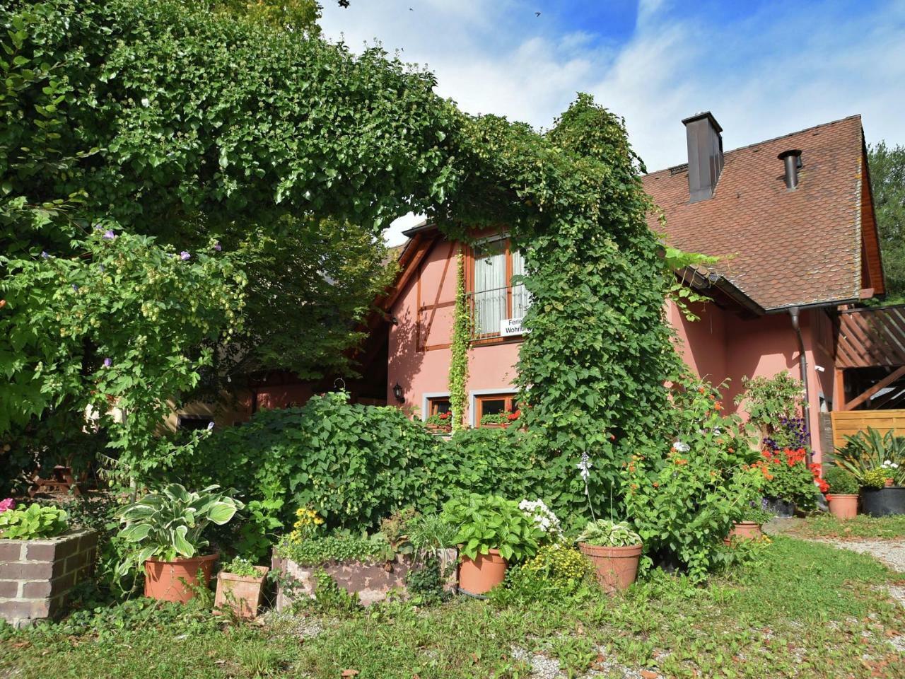 Countryside Apartment With Garden Schallstadt Eksteriør billede
